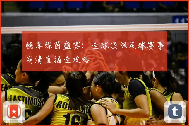 畅享绿茵盛宴：全球顶级足球赛事高清直播全攻略